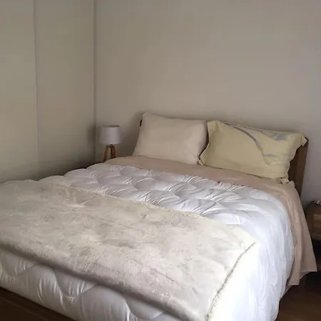Bassin Arcachon Appt Recent4 Couchages Petit Jardin