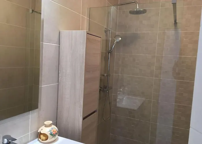 Bassin Arcachon Appt Recent4 Couchages Petit Jardin La Teste-de-Buch