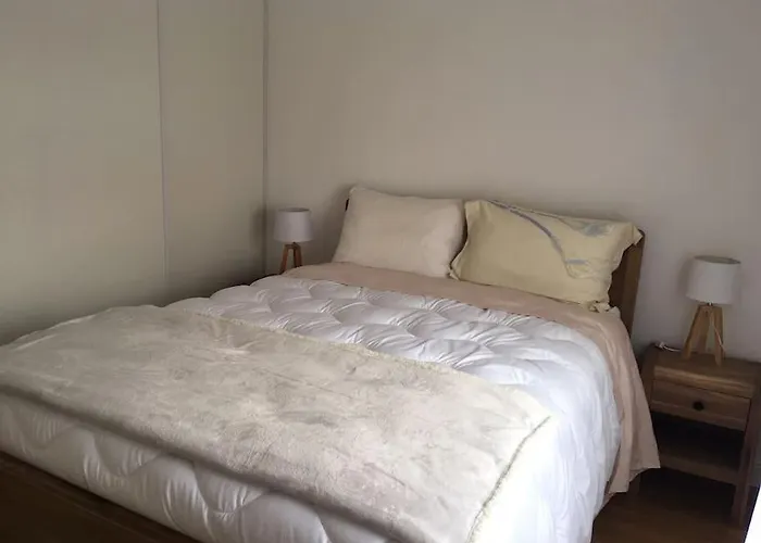 Bassin Arcachon Appt Recent4 Couchages Petit Jardin